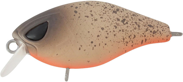 Hurricane Lures Fat 37 Shallow
