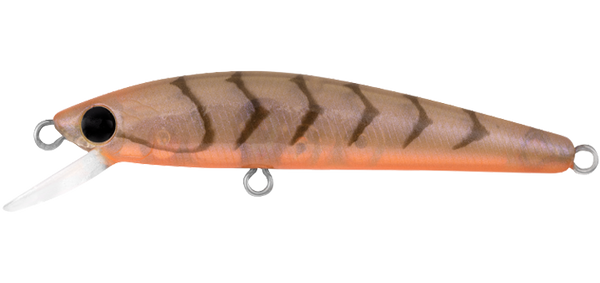 Daiwa Presso Minnow 6F