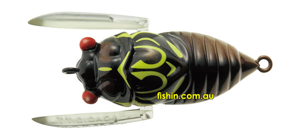 Tiemco Soft Shell Cicada EVO 2024 Model