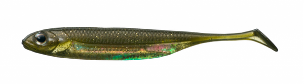 Fish Arrow Flash J Shad 2”