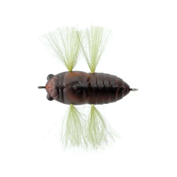 Tiemco Soft Shell Tiny Cicada