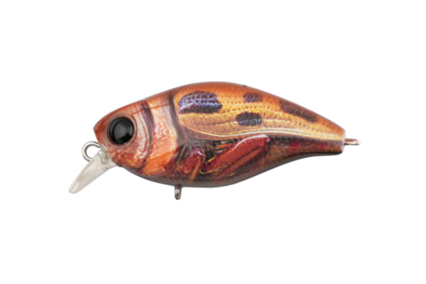 Jackall Micro Chubby 30F Shallow