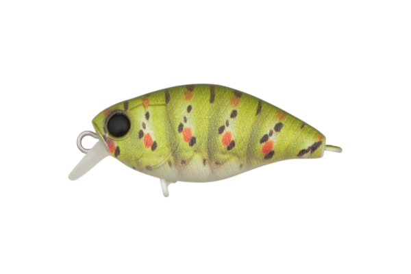 Jackall Micro Chubby 30F Shallow