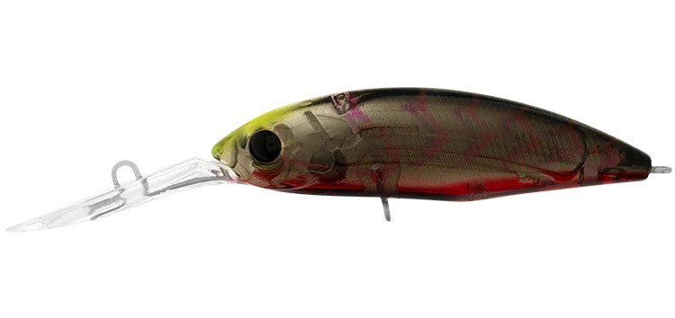 Daiwa Infeet Spike 53SP SPECIAL