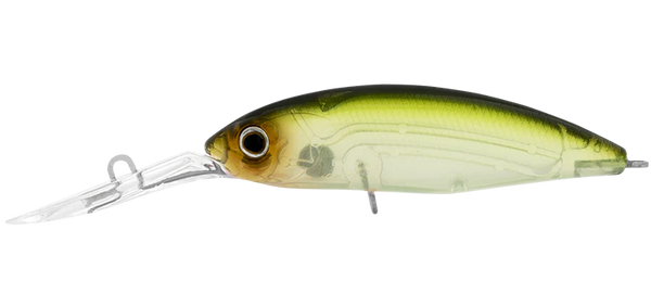 Daiwa Infeet Spike 53SP SPECIAL