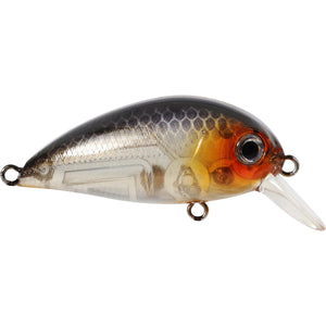 atomic fishing lures Atom Striper Swiper Surfland Bait and Tackle these spoons will be glowing for hours on end Atomic Lures