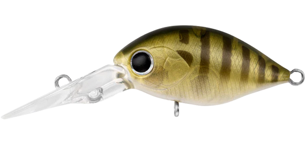 Daiwa Infeet Rollin Crank DR Specials