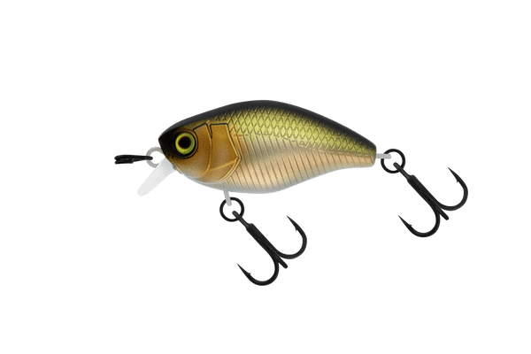 Jackall Micro Chubby 30F Shallow