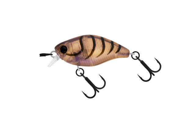 Jackall Micro Chubby 30F Shallow