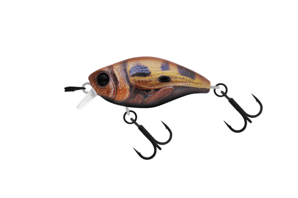 Jackall Micro Chubby 30F Shallow