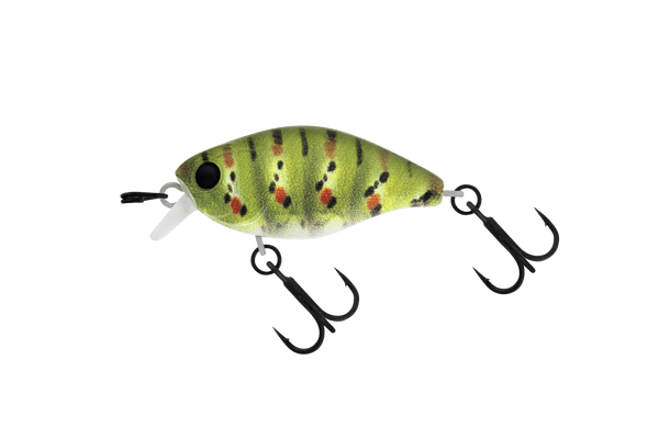 Jackall Micro Chubby 30F Shallow