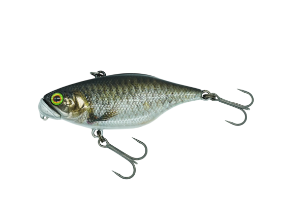 Dstyle Jackall TN50 TypeD SS Lipless Crankbait