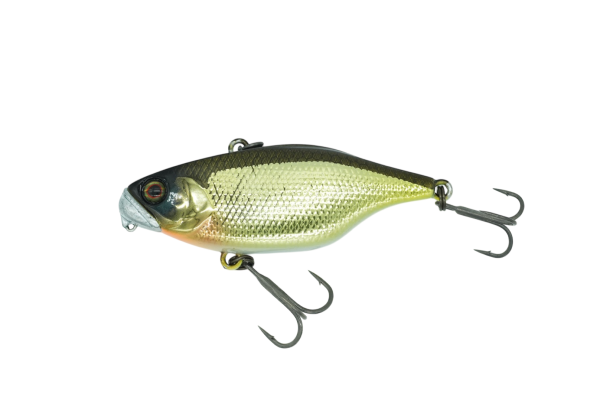 Dstyle Jackall TN50 TypeD SS Lipless Crankbait