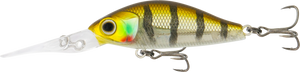 Samaki Redic MS40LC