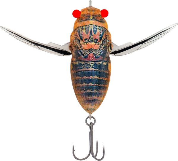 Samaki Redic Cicada 42mm