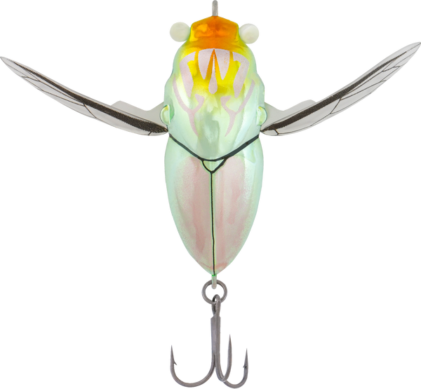 Samaki Redic Cicada 42mm