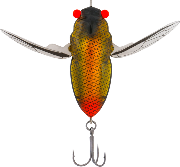 Samaki Redic Cicada 42mm