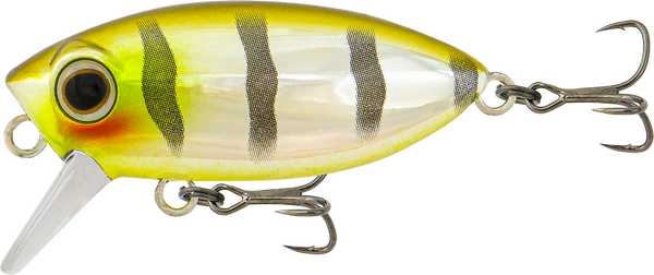 Samaki Redic Footy Bug SF40