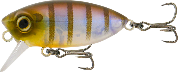 Samaki Redic Footy Bug SF40