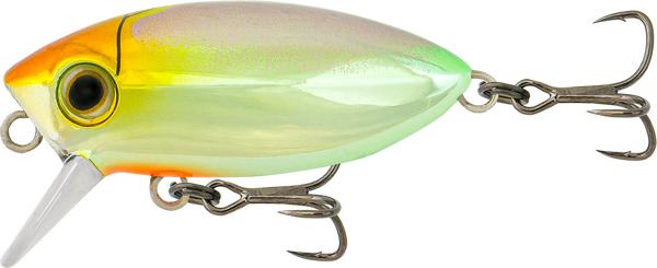 Samaki Redic Footy Bug SF40