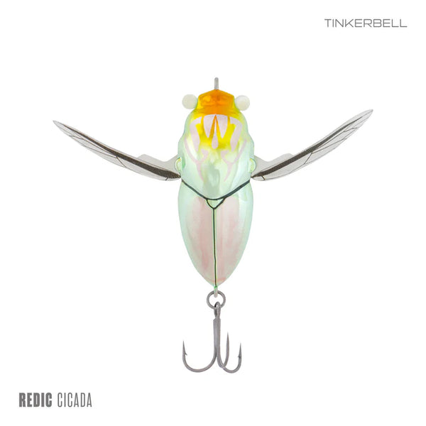 Samaki Redic Cicada 50mm