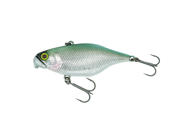 Dstyle Jackall TN50 TypeD SS Lipless Crankbait