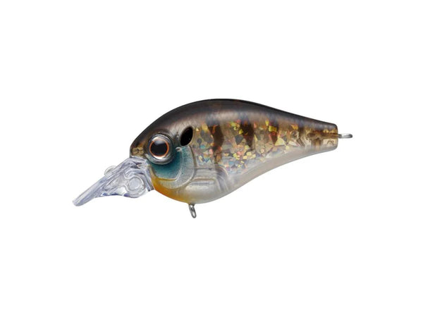 Evergreen Piccolo Dive Shallow