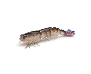 ZMAN PRAWNZ ELITE 5" UNRIGGED