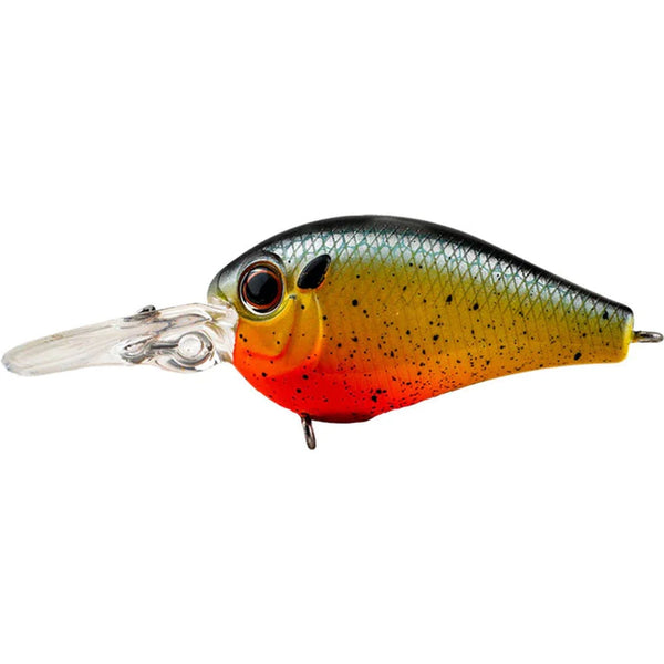 Evergreen Piccolo Dive Shallow