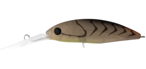 Daiwa Infeet Spike 53SP SPECIAL