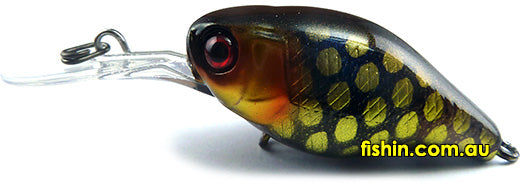 Jackall Chubby 38F SSR Flottant Leurre Noike Gill (2999 Jackall Chubby 38F SSR Flottant Leurre Noike Gill (2999