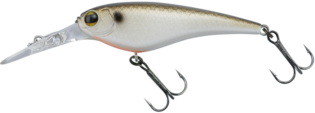 hard baits Imakatsu IS Wasp 55SP 06 in a fishing tackle shop hard baits Imakatsu IS Wasp 55SP 06 in a fishing tackle shop